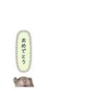 かまぼこだよ（個別スタンプ：8）