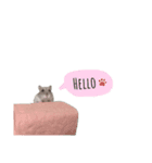 かまぼこだよ（個別スタンプ：13）