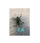 ななななななく（個別スタンプ：3）