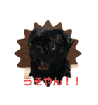 パグの一族（個別スタンプ：1）