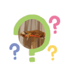 茶トラ兄妹のぶみーの仲良しLINEスタンプ（個別スタンプ：20）