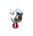 ぼく白玉（個別スタンプ：11）