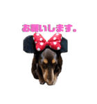 愛犬とあちゃん♫②（個別スタンプ：7）