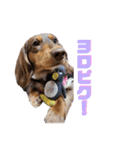 愛犬とあちゃん♫②（個別スタンプ：8）