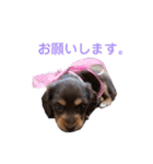 愛犬とあちゃん♫②（個別スタンプ：11）