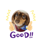 愛犬とあちゃん♫②（個別スタンプ：14）