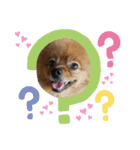 ぽちゃ日和（個別スタンプ：1）