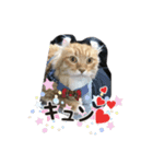 Ryoryo's pet's part3（個別スタンプ：2）