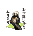 Ryoryo's pet's part3（個別スタンプ：3）