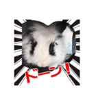 Ryoryo's pet's part3（個別スタンプ：6）