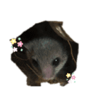 Ryoryo's pet's part2（個別スタンプ：8）