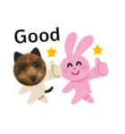 トイプードルのLatte2（個別スタンプ：2）