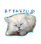 ぽんそるきなこ(*´꒳`*)（個別スタンプ：4）