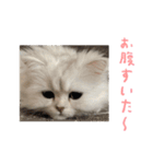 ぽんそるきなこ(*´꒳`*)（個別スタンプ：5）