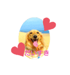 Tsuna’s Dachshund（個別スタンプ：7）