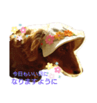 Tsuna’s Dachshund（個別スタンプ：13）