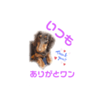 ぺこちゃんスタンプ 1（個別スタンプ：5）