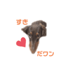 ぺこちゃんスタンプ 1（個別スタンプ：8）