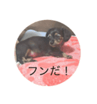 う〜＆ち〜（個別スタンプ：6）