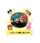 フェレットのまるくるファミリー勢揃い♡（個別スタンプ：9）