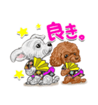 トイプー＆シュナウザー（個別スタンプ：2）