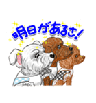 トイプー＆シュナウザー（個別スタンプ：3）