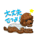 トイプー＆シュナウザー（個別スタンプ：4）
