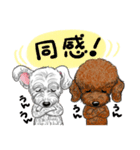 トイプー＆シュナウザー（個別スタンプ：5）
