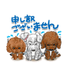 トイプー＆シュナウザー（個別スタンプ：7）