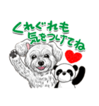 トイプー＆シュナウザー（個別スタンプ：8）