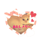 白猫のメリーさん part3（個別スタンプ：11）
