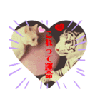 白猫のメリーさん part3（個別スタンプ：14）