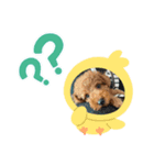 れお参上（個別スタンプ：4）