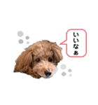 メルくんの日常②（個別スタンプ：4）