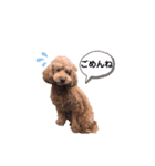 メルくんの日常②（個別スタンプ：6）