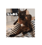 歳三スタンプ！（個別スタンプ：2）