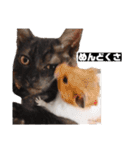 歳三スタンプ！（個別スタンプ：4）