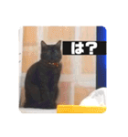 歳三スタンプ！（個別スタンプ：5）