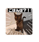歳三スタンプ！（個別スタンプ：8）
