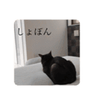 歳三スタンプ！（個別スタンプ：9）