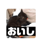 歳三スタンプ！（個別スタンプ：18）