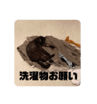 歳三スタンプ！（個別スタンプ：20）