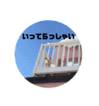 今日のぷあち（個別スタンプ：19）