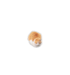 ゲームで使える凸るにゃんこ（個別スタンプ：15）