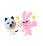 我が家のしずくちゃんスタンプ2（個別スタンプ：2）