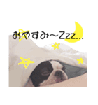 ブエナの日常（個別スタンプ：6）
