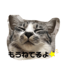 ぼく白玉②（個別スタンプ：5）