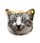 ぼく白玉②（個別スタンプ：14）