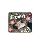 ゆめのの（個別スタンプ：4）