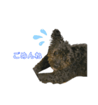 beant's stamps（個別スタンプ：6）